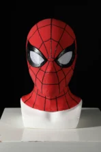 Spiderman Suit Brand New Day Peter Parker Cosplay Costume Jumpsuit - Image 7