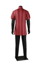 Zelda Tears of the Kingdom link Royal Guard Uniform Cosplay Costume - Image 23