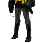 Absolutely Bruce Cosplay Costume - Image 2
