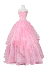 Princess Cosplay Costume Dress for Adult Moman - Image 7